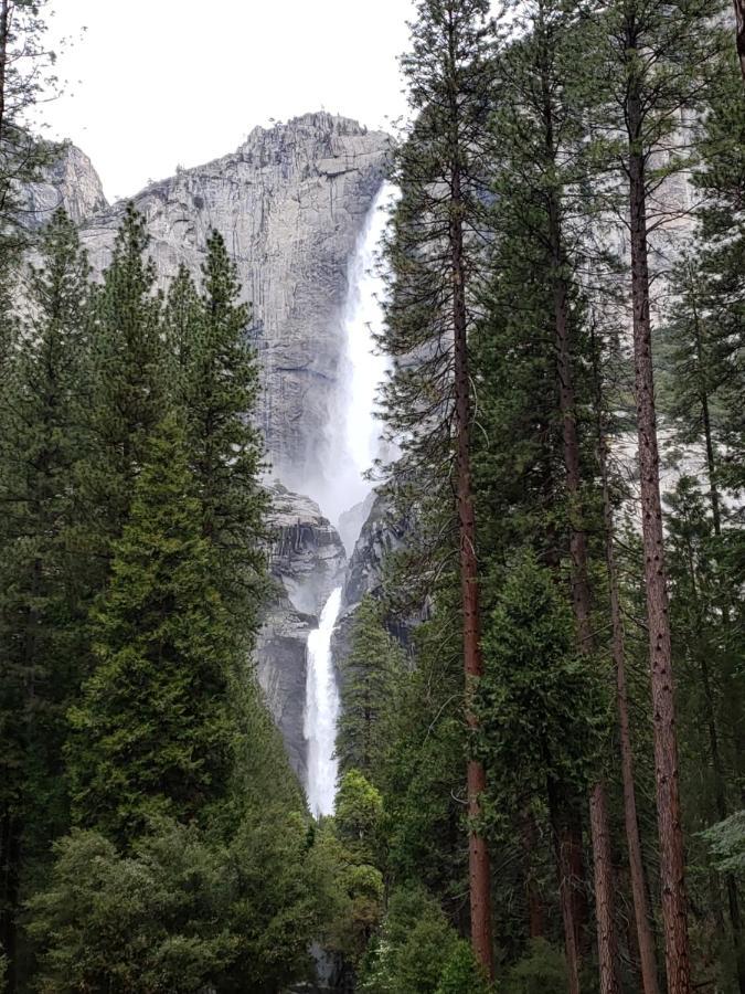 Yosemite Foothill Retreat - Private Guest Suite #2 Coarsegold Extérieur photo